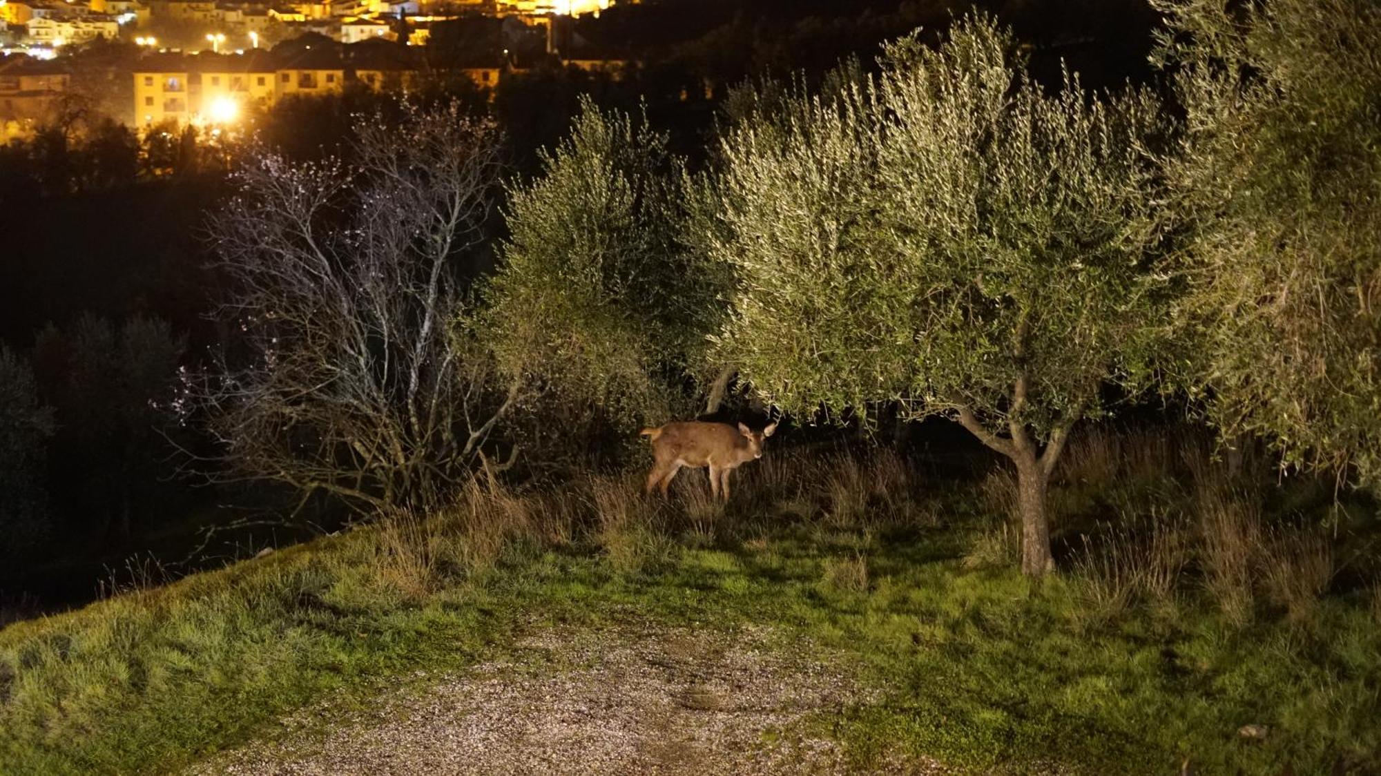 Villa Salviati Prato  Bagian luar foto