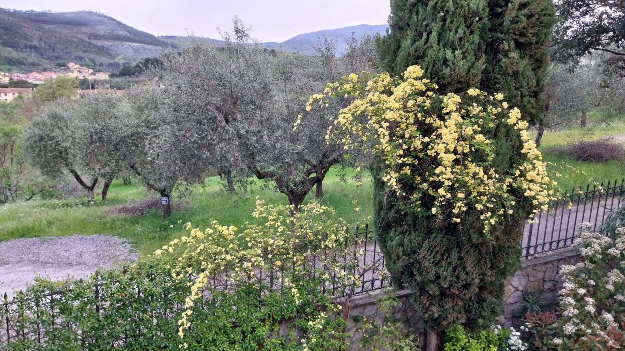 Villa Salviati Prato  Bagian luar foto